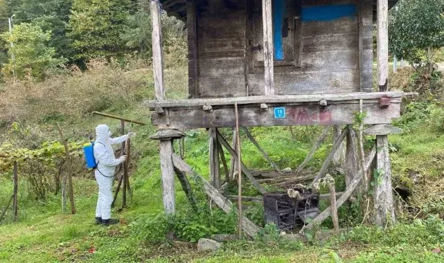 Trabzon'da kokarcayla mücadelede 1 milyon 312 bin metrekarelik alan ilaçlandı