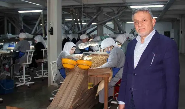 Fındık fiyatında yıl sonuna kadar ciddi bir değişiklik beklenmiyor