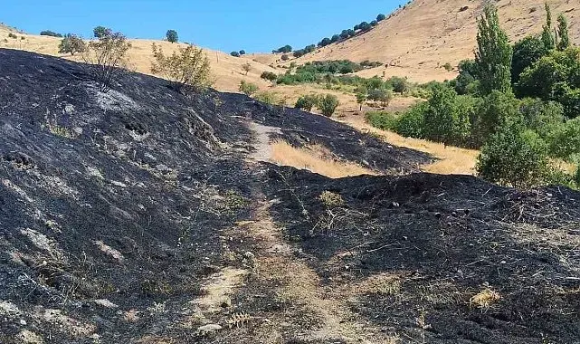 Diyarbakır'da anız yangını