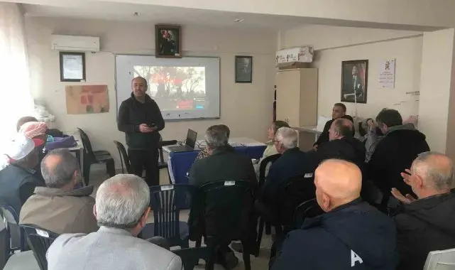 Zeytin ağaçları küllerinden doğup yeşeriyor