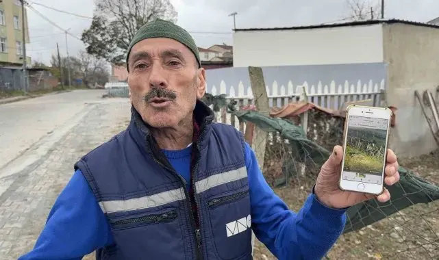 Yılbaşı yaklaşırken, hindi hırsızları kümeslere dadandı
