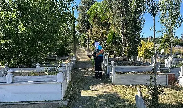Gebze mezarlıklarında yabani ot temizliği