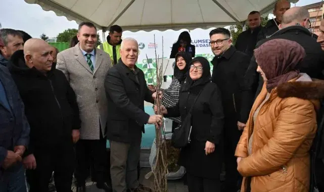 Bursa Büyükşehir'den üreticiye fide ve fidan desteği