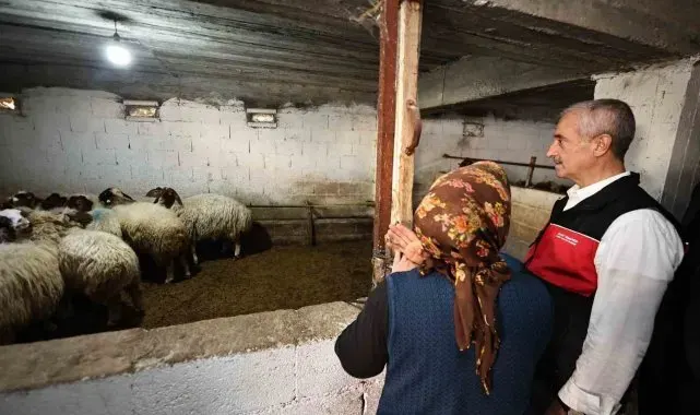 Başkan Tahmazoğlu: "Hayvancılığa desteğimiz sürecek"