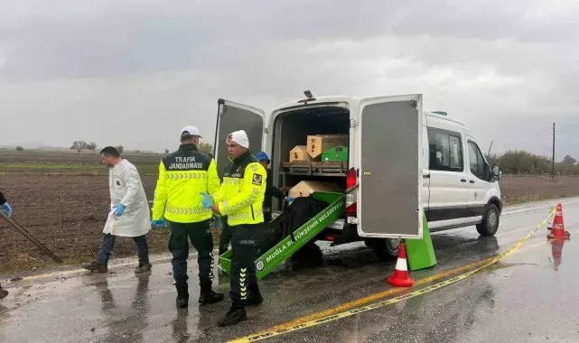 Milas'ta yol kenarında bulunan erkek cesedinin kimliği tespit edildi