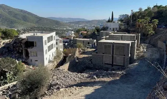 Ünlü sanatçı Suavi'ye Bodrum'da ağaç katliamı cezası
