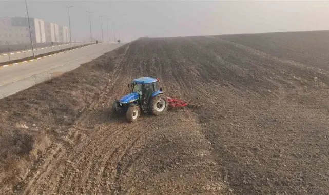 Balıkesir'de yem maliyetlerini düşürecek hamle