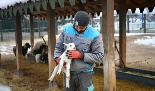 Hayvanat bahçesi misafirlerine kış desteği