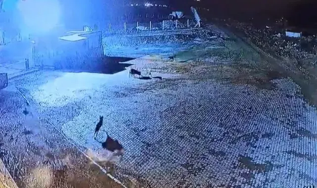 Gümüşhane'de aç kalan kurt sürüsü bekçi köpeğini parçaladı