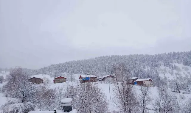 Artvin'de kar kalınlığının 1 metreyi bulduğu köyde gece gündüz çatı temizleniyor
