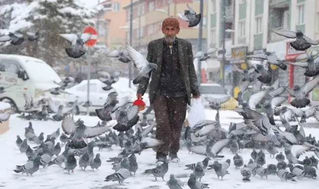 Rüyasında aldığı emirle 20 yıldır her gün kuşları besliyor