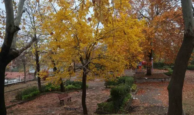Beyazın ve sonbaharın güzellikleri bir arada