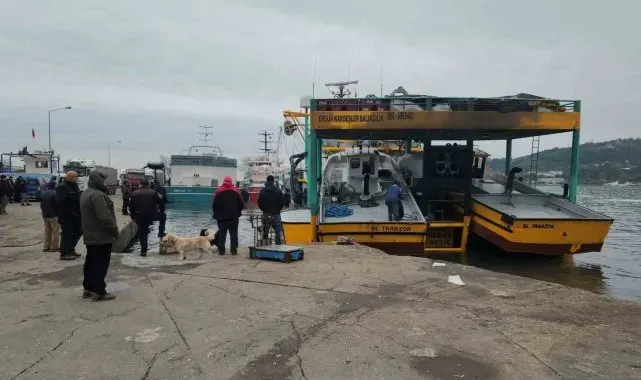 Karadeniz Ereğli Limanı'nda hamsi hareketliliği