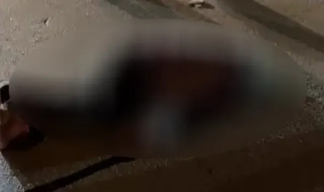 Adana'da elektrikli bisiklet ile hafif ticari araç çarpıştı: 1 ölü, 2 yaralı