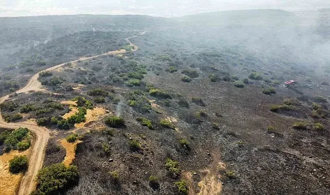 Elazığ'daki orman yangını söndürüldü