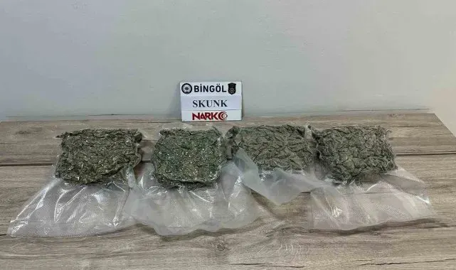 Bingöl'de 2 kilo 86 gram skunk ele geçirildi