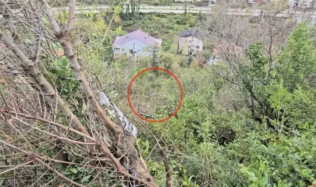 Otomobili ile 25 metre yüksekten uçuruma uçtu, burnu bile kanamadan kurtuldu