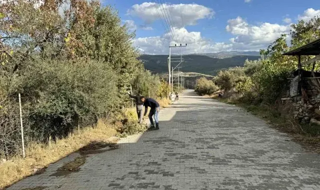 Karacasu'da mahalleler temizleniyor