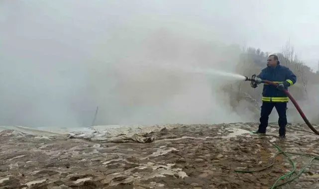 Van'da ev ve ahır yangını