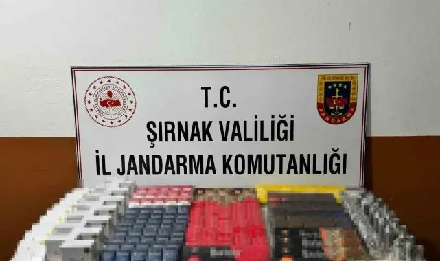 Şırnak'ta 11 şüpheliye işlem yapıldı