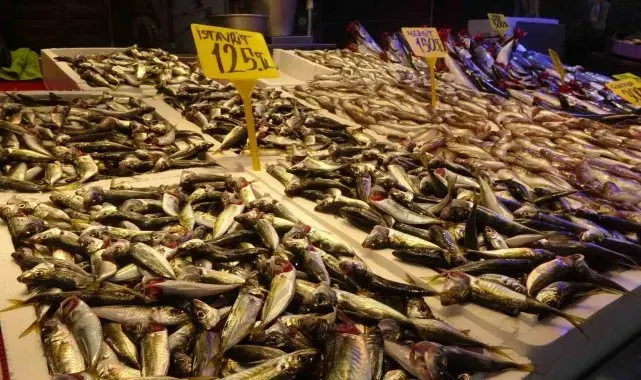 Hamsi hava muhalefeti nedeniyle az avlanınca fiyatı neredeyse ikiye katlandı