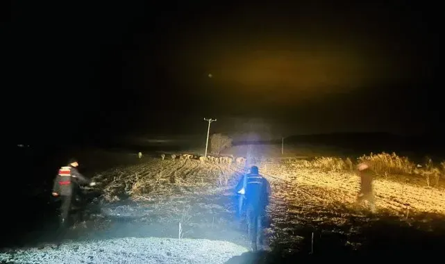 Yozgat'ta kaybolan büyükbaş hayvanlar Jandarma ekiplerince bulundu