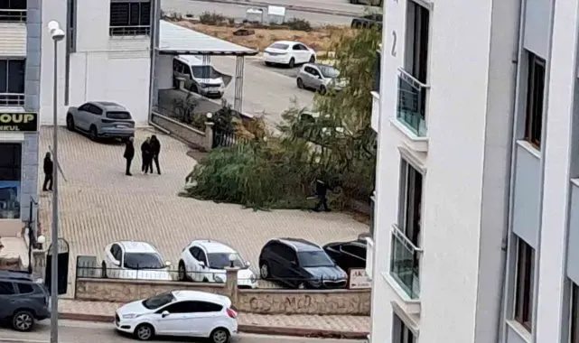 Elazığ'da şiddetli fırtına ağaçları devirdi