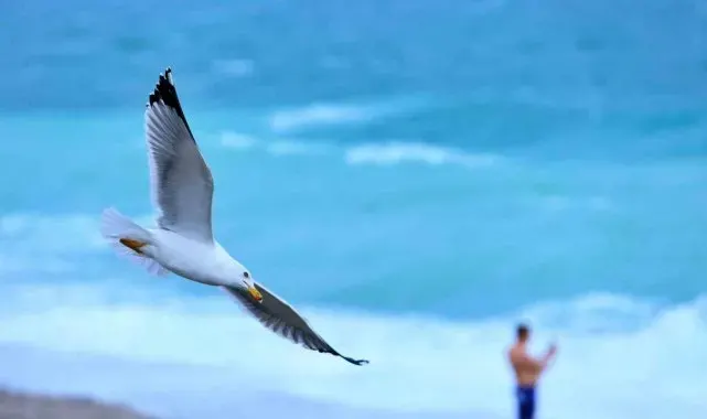 Rus turist fırtınanın oluşturduğu dev dalgalar arasında denize girdi, ceket giyenlere güldü
