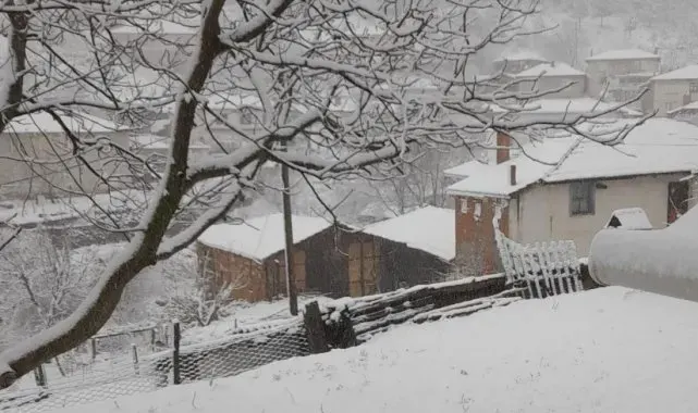 Tavşanlı'da kar yağışı
