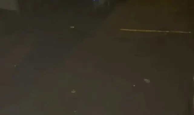 Tilkiler mahalleyi mesken tuttu