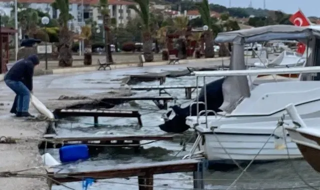 Fırtına Ayvalık'ı vurdu