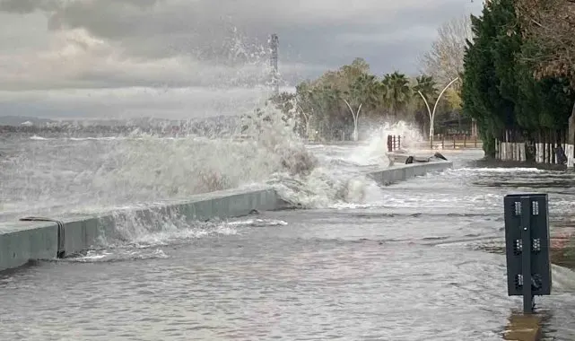 Kocaeli'de deniz taşarken 2 tekne battı, ağaçlar ise yerlerinden söküldü