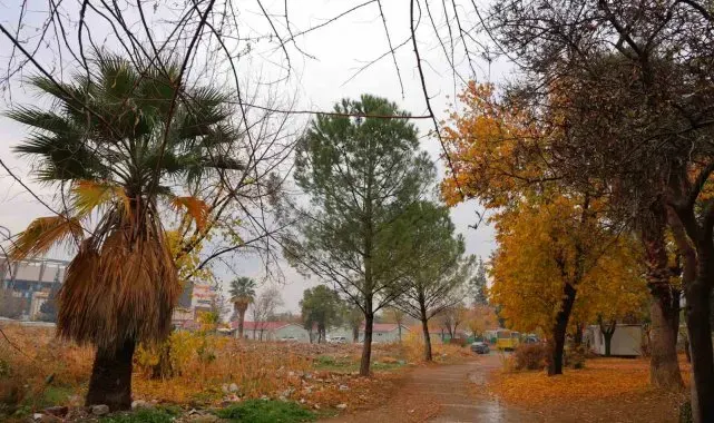 Kahramanmaraş'ta sonbaharda renk cümbüşü