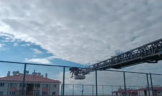 Van'da halı sahanın yan ağlarına takılan karga kurtarıldı
