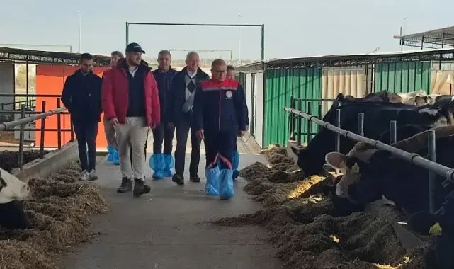 Aydın'da AB'ye ihracat onaylı çiftliklerde incelemelerde bulunuldu