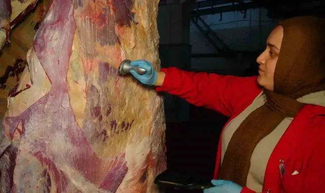 Mezbahane tesisi, sağlıklı et üretimi için denetim altında