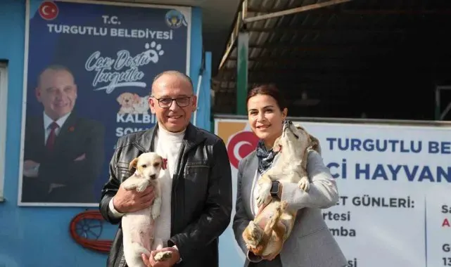 Turgutlu'da online hayvan sahiplendirme sistemi hizmete sunuldu