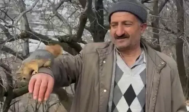 Bahçesaray'ın sevimli sincabı ilgi odağı oldu