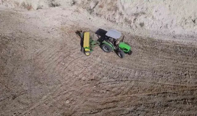 Ata tohumları Mezopotamya'nın verimli topraklarıyla yeniden buluştu