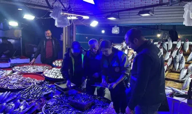 Bilecik'te balıkların boyları teker teker ölçüldü