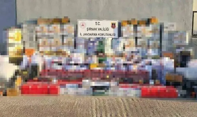 Şırnak'ta kaçakçılık operasyonuna 3 tutuklama
