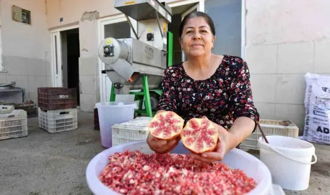 Büyükşehir Belediyesinden üreticiye 'Nar Taneleme Makinesi' desteği