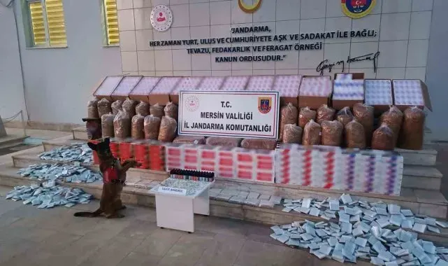 Mersin'de kaçakçılıkla mücadele, 208 bin adet makaron ele geçirildi