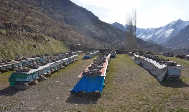 Erzincan'da arıların "tatlı uykusu" başladı