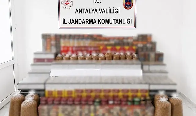 Manavgat'ta 36 bin makaron, 35 kilo kıyılmış tütün ele geçirildi