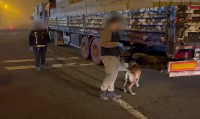 Batman'da bir tırda 8 kilo sentetik uyuşturucu yakalandı: 2 kişi tutuklandı