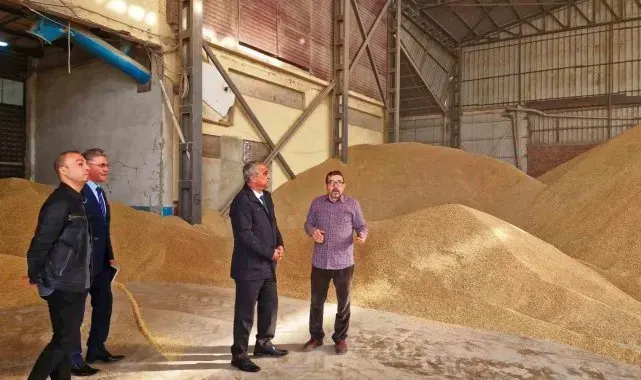 Samsun'da kırsal kalkınma yatırımları