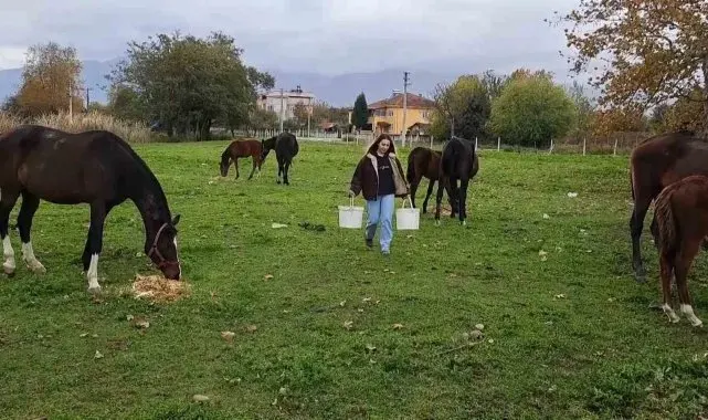 At sevgisiyle başlayan hobi hipodromda devam ediyor: Kurduğu tesiste yarış atı üretiyor