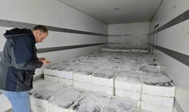 Karadeniz'de hamsi bereketi yaşanmaya başlandı