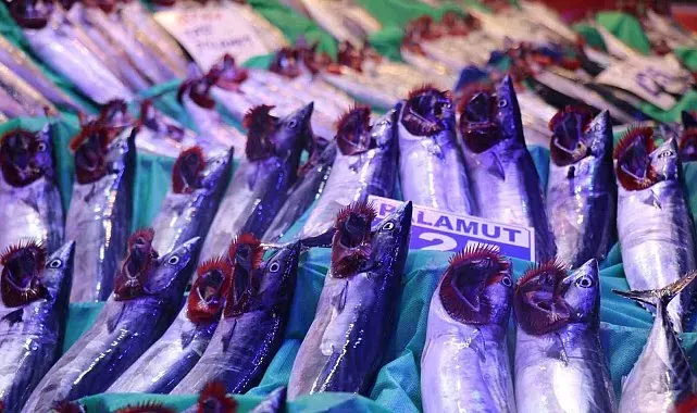 Denizlerde sezon açıldı, tezgahlar palamut ve hamsiyle doldu